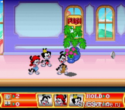 Animaniacs