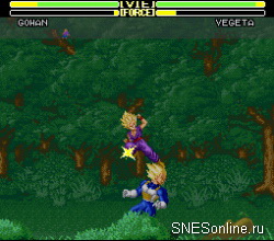 Dragon Ball Z - Super Butouden 2