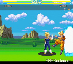 Dragon Ball Z - Super Butouden 3