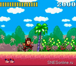 Super Adventure Island