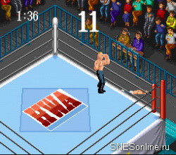 Super Fire Pro Wrestling 2