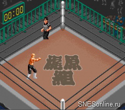 Super Fire Pro Wrestling Special