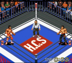 Super Fire Pro Wrestling X