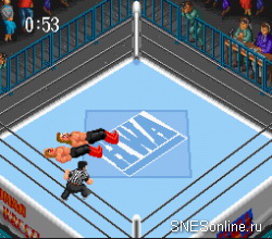 Super Fire Pro Wrestling